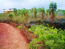 Воспоминания о Перу и Эквадоре. Как это было 3 года назад. Воспоминания о Перу и Эквадоре. Как это было 3 года назад.