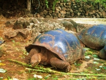 Воспоминания о Перу и Эквадоре. Как это было 3 года назад. Воспоминания о Перу и Эквадоре. Как это было 3 года назад.