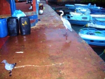 Воспоминания о Перу и Эквадоре. Как это было 3 года назад. Воспоминания о Перу и Эквадоре. Как это было 3 года назад.