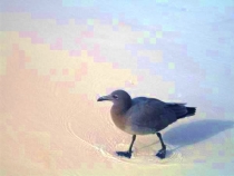 Воспоминания о Перу и Эквадоре. Как это было 3 года назад.