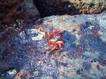 Воспоминания о Перу и Эквадоре. Как это было 3 года назад.