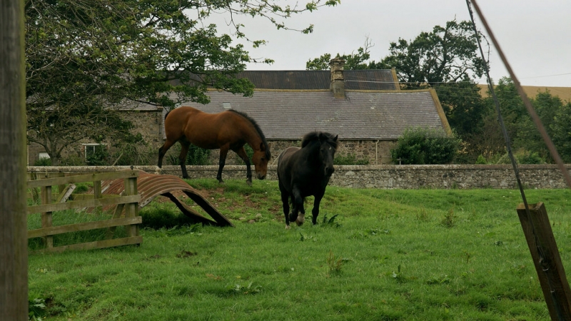 Drive on left (Англия-Шотландия и обратно, лето 2012)