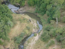 DSC09410