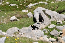 Испания - страна горная! (Ordesa и Picos de Europa). (Много фото).