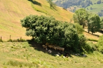 Испания - страна горная! (Ordesa и Picos de Europa). (Много фото).