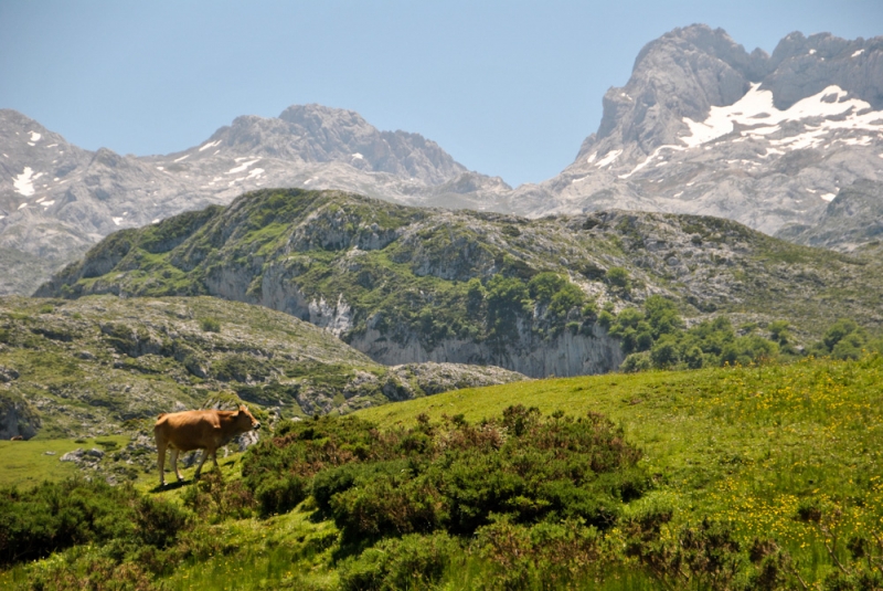 covadonga lakes