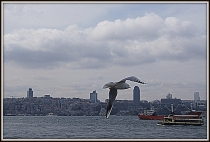 8 марта в Константинополе