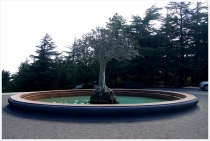 4 дня в Тбилиси