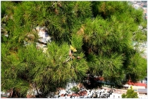 4 дня в Тбилиси