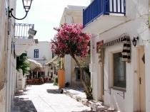 На пути к Олимпу