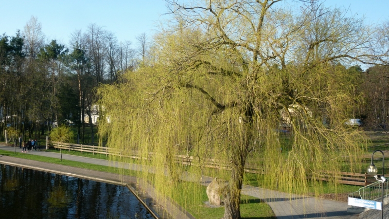 Первомай в Польше, Августов (СПб - Даугавпилс - Каунас - Августов)