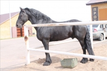 Пять дней в Казани