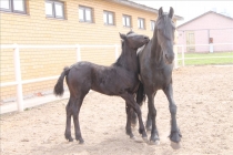 Пять дней в Казани