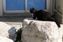 Хочешь быть счастливым - в Грецию!!!