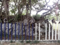 Почему пустуют провинциальные пляжи?