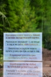 аптекарьский сад