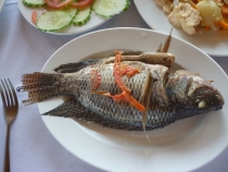 Вьетнам-Лаос: море, горы, реки…или страна неприятных сюрпризов