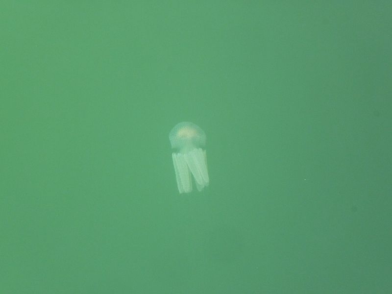 Вьетнам-Лаос: море, горы, реки…или страна неприятных сюрпризов