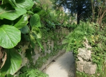 Обригада, или непохожая на других. апрель2013