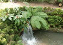 Обригада, или непохожая на других. апрель2013