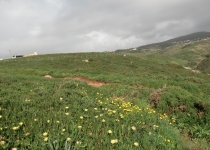 Обригада, или непохожая на других. апрель2013