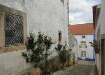 Обригада, или непохожая на других. апрель2013