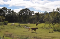 Бразилия – Минас Жерайс: немножко Belo Horizonte, Ору Прету и Сан Жоан дель Рей.