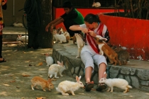 Малайзия в марте 2013 года. Борнео-Лангкави. Гонконг-Макао.