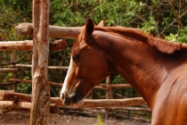 Малайзия в марте 2013 года. Борнео-Лангкави. Гонконг-Макао.