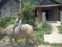 Вьетнам-Лаос: море, горы, реки…или страна неприятных сюрпризов