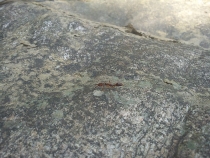 Вьетнам-Лаос: море, горы, реки…или страна неприятных сюрпризов