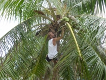 Вьетнам-Лаос: море, горы, реки…или страна неприятных сюрпризов