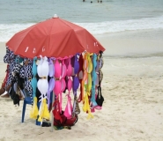 Бразилия 2013. Водопады. Карнавал.