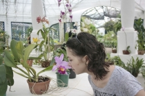 Бразилия 2013. Водопады. Карнавал.