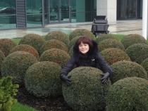 Зеленые шарики в конце декабря