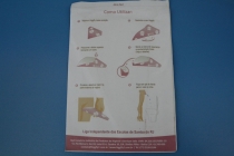 Бразилия 2013. Водопады. Карнавал.