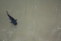 Аргентина 2013. Водопады Игуасу