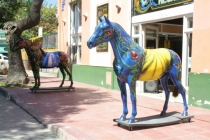 Аргентина 2013. Водопады Игуасу