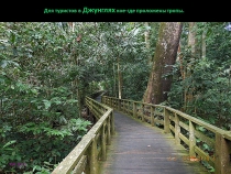 Борнео: за границами городов