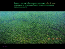 Борнео: за границами городов