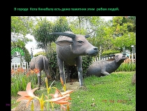 Борнео: за границами городов