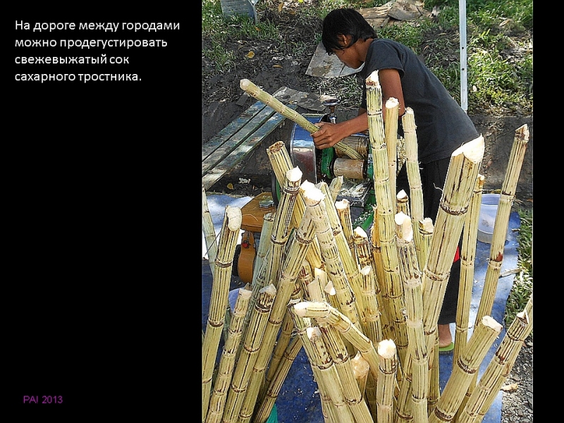 Борнео: за границами городов