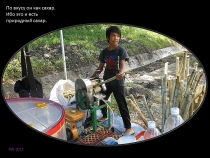 Борнео: за границами городов