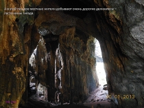 Борнео: за границами городов