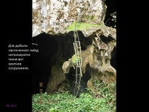 Борнео: за границами городов