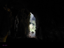 Борнео: за границами городов