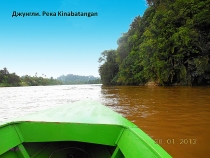 Борнео: за границами городов