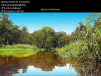 Борнео: за границами городов