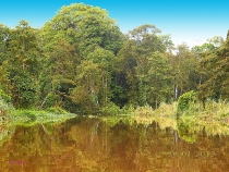 Борнео: за границами городов