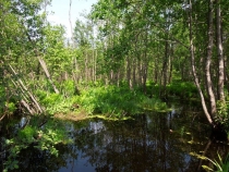 Экскурсия по окрестностям